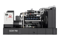 Газовый генератор Pramac GGW625G