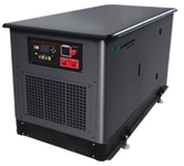 Газовый генератор Mirkon Energy MKG31T