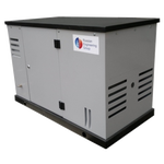 Газовый генератор REG ARCTIC GG10-230S