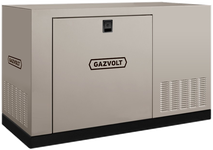 Газовый генератор Gazvolt 80T32 в кожухе с АВР
