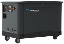 Газовый генератор Mirkon Energy MKG29TF с АВР