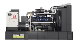 Газовый генератор Pramac GGW750G