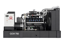 Газовый генератор Pramac GGW750G