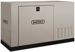 Газовый генератор Gazvolt 200T23 в кожухе с АВР