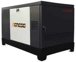 Газовый генератор Genese Pro 12000 Neva в кожухе с АВР