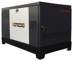 Газовый генератор Genese Standard 12000T Neva в кожухе с АВР